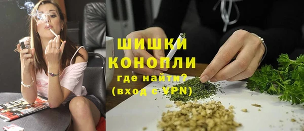 PSILOCYBIN Корсаков