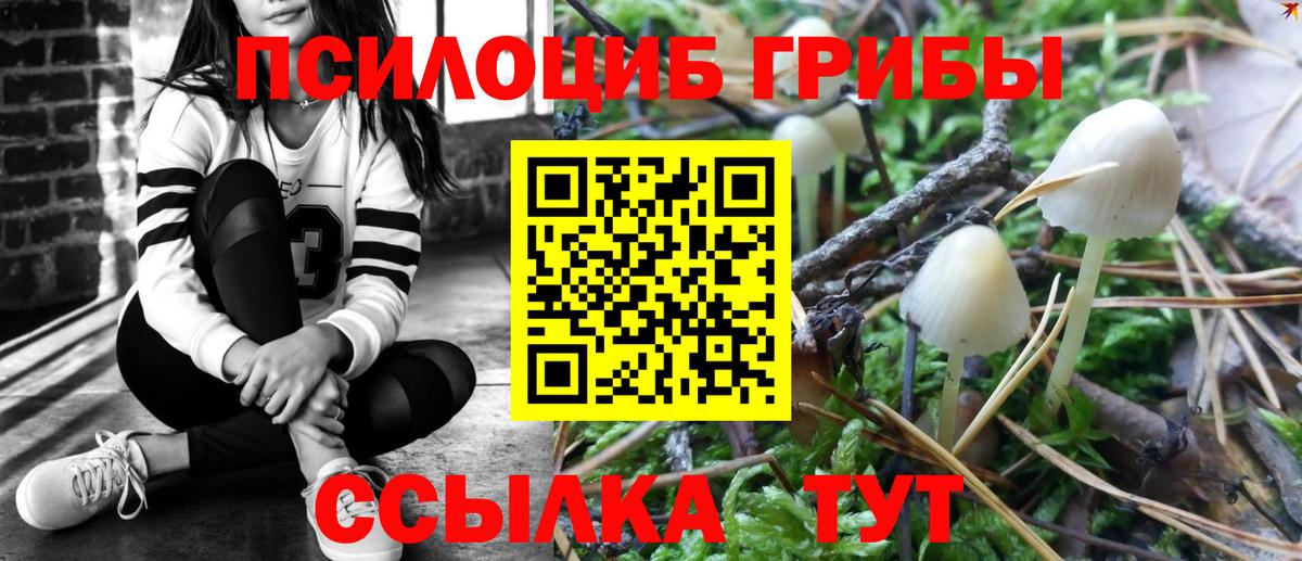 Псилоцибиновые грибы мицелий  Вход с VPN  Псилоцибиновые грибы Psilocybine cubensis  где найти наркотики  Новосибирск 